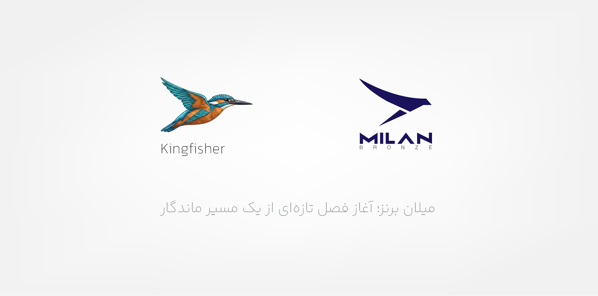 هویت بصری جدید